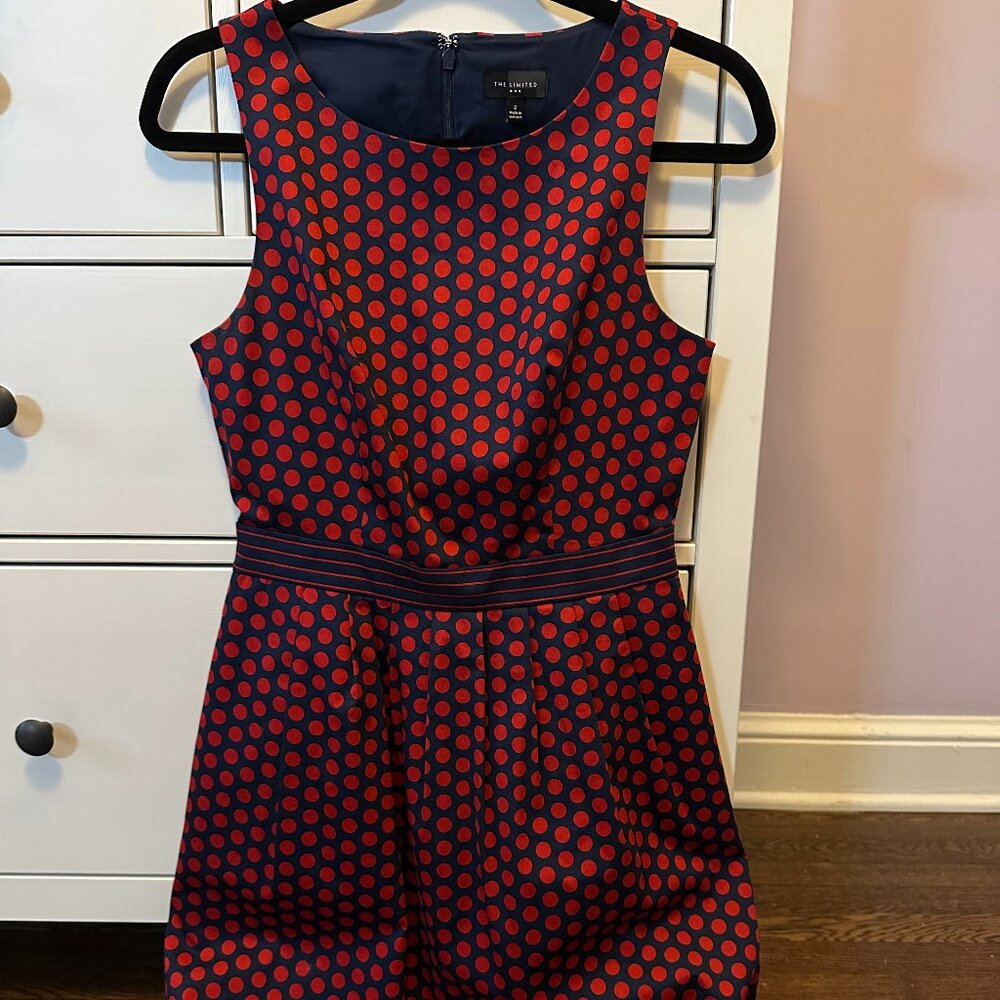 The Limited Polka Dot Patterned Dress